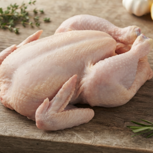 chicken